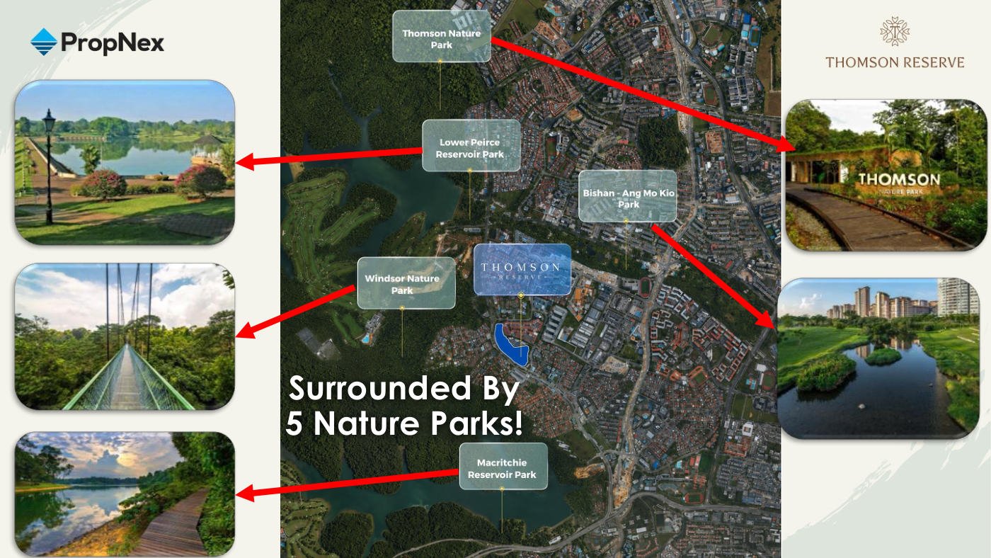 Thomson Reserve surrounded by five nature parks — Thomson Nature Park, Lower Peirce Reservoir Park, Windsor Nature Park, MacRitchie Reservoir Park and Bishan-Ang Mo Kio Park